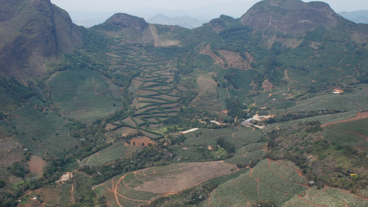 Single Origin vs Blends: Understanding Coffee Varieties